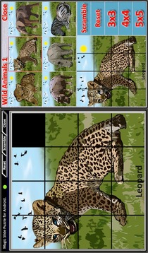 Magic Slide Puzzle W.Animals 1游戏截图3