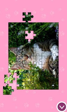 Cats - Jigsaw Puzzles游戏截图4