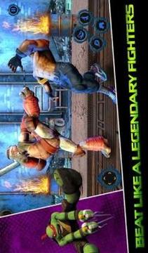 Ninja Hero Superstar Turtles: Legends Warriors 3D游戏截图2