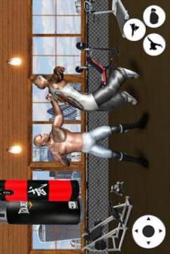 Virtual BodyBuilder GYM Fighting 3D游戏截图3