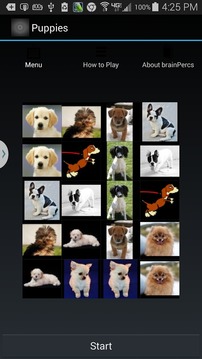 Match Cats and Dogs Free游戏截图2