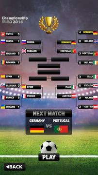 Euro 2016 Soccer Flick游戏截图5