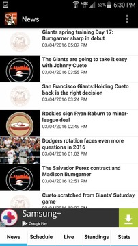 San Francisco Baseball Ad游戏截图1