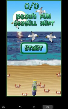 Beach Fun Seagull Hunt游戏截图3