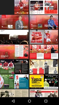 Nottingham Forest FC游戏截图4