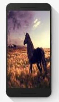 Horse Puzzle Jigsaw Game游戏截图1