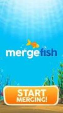 Merge Fish游戏截图1
