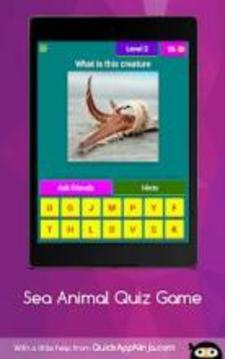 sea animal quiz game游戏截图5