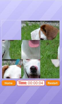 Cute Dog Sliding Puzzle游戏截图2