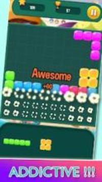 Puzzle Block - Classic Brick Game游戏截图4