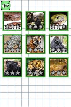 Puzzles in English: Animals游戏截图2