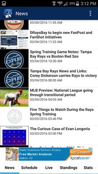 Tampa Bay Baseball游戏截图1