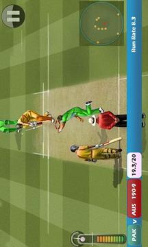 Pak vs Aus Cricket Game Live游戏截图2