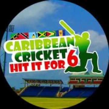 Hit For Six - Caribbean Cricket游戏截图1