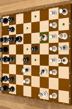 Chess Champion Master 2018游戏截图1