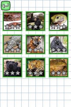 Puzzle Animals: Spanish-German游戏截图3