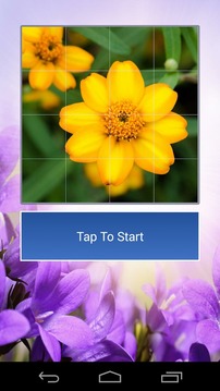 Flowers Lovers Puzzle游戏截图2