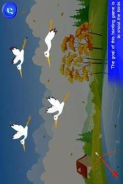 Bird Hunting Shoter游戏截图5