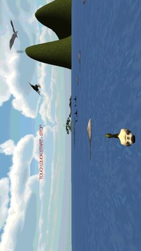 Duck Panic 3D游戏截图3