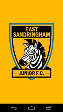 East Sandringham Junior FC游戏截图1