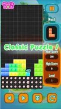 Puzzle Block - A Classic Video Game游戏截图2