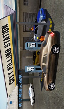 智能洗车服务：加油站停车场 3D游戏截图3