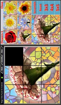 Magic Slide Puzzle Flowers1游戏截图5