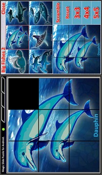 Magic Slide Puzzle B Fishes 2游戏截图3