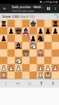 Chess Tactics Pro (Puzzles)游戏截图3