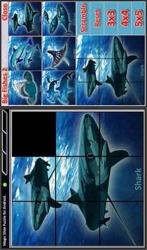 Magic Slide Puzzle B Fishes 2游戏截图4