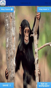 Monkey Puzzle for Kids游戏截图4