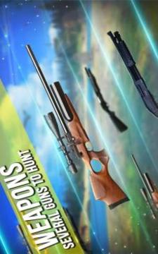 Forest Deer Sniper Hunting 2018游戏截图3