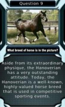 My Horse & Pony Breeds Quiz HD游戏截图3