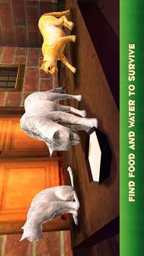 Home Cat Survival Simulator 3D游戏截图1