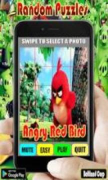 Random Angry Red Bird Puzzles游戏截图2