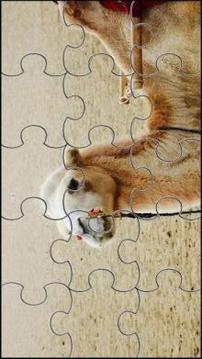 Camel Jigsaw Puzzles Game游戏截图5