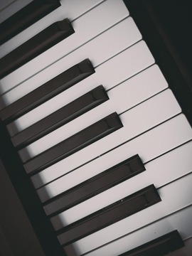 Piano instrumental游戏截图4