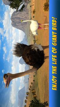 Ostrich Bird Simulator 3D游戏截图4