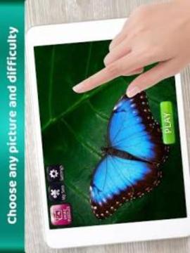 * Butterfly Jigsaw Puzzles - Magic puzzle games游戏截图5