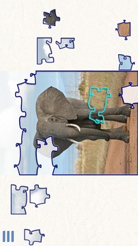 Safari Jigsaw Puzzles Free游戏截图1