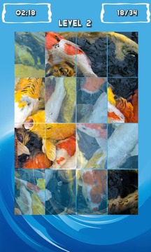 Fancy Koi Fish Puzzle Game游戏截图4