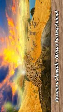 African Wild Life: Cheetah Survival游戏截图4