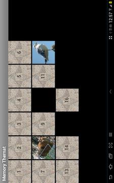 Memory Thernat游戏截图1