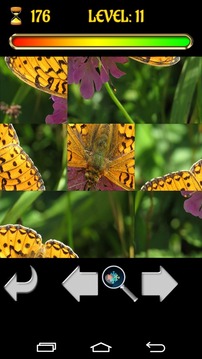 Puzzle Butterfly 2015 Free游戏截图4