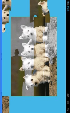 Puppies Puzzle游戏截图5