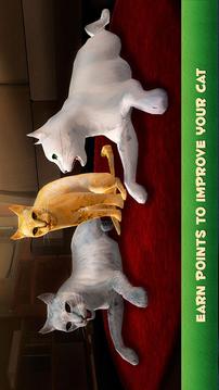 Home Cat Survival Simulator 3D游戏截图4