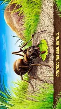 Ant Empire Simulator - Undergrowth Survival游戏截图4