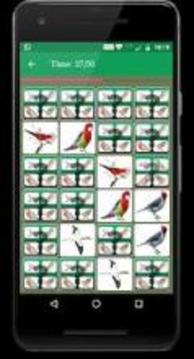 Bird Memory Matching Game游戏截图3