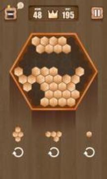 Wooden 100 Block Puzzle游戏截图2