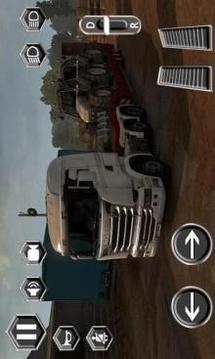 Real Truck Driver Driving Sim 3D游戏截图1